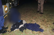 A theft suspect was arrested in the early hours of this morning in Parsons Hill