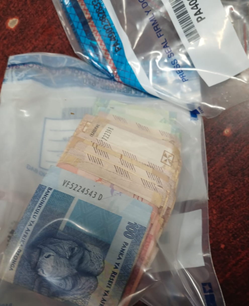Laingsburg police confiscates presumed stolen property and drugs