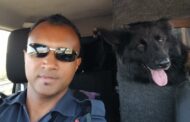 K9 Zeus update