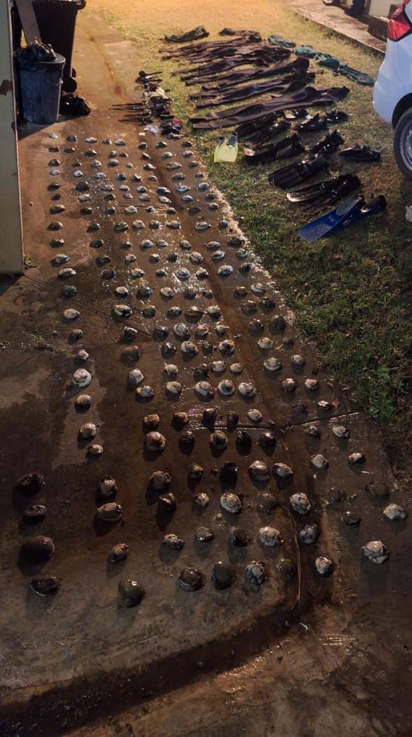 Off-duty police officials nab suspects for possession of abalone