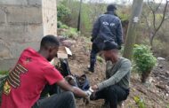 Copper theft suspects apprehended in the Earlsfield area