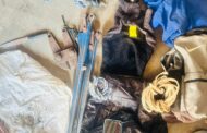 Alleged house robbery suspect nabbed and assault rifle recovered