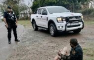 Repeat offender arrested in Brindhaven