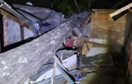 Four homes extensively damaged after a tree collapsed in Canelands
