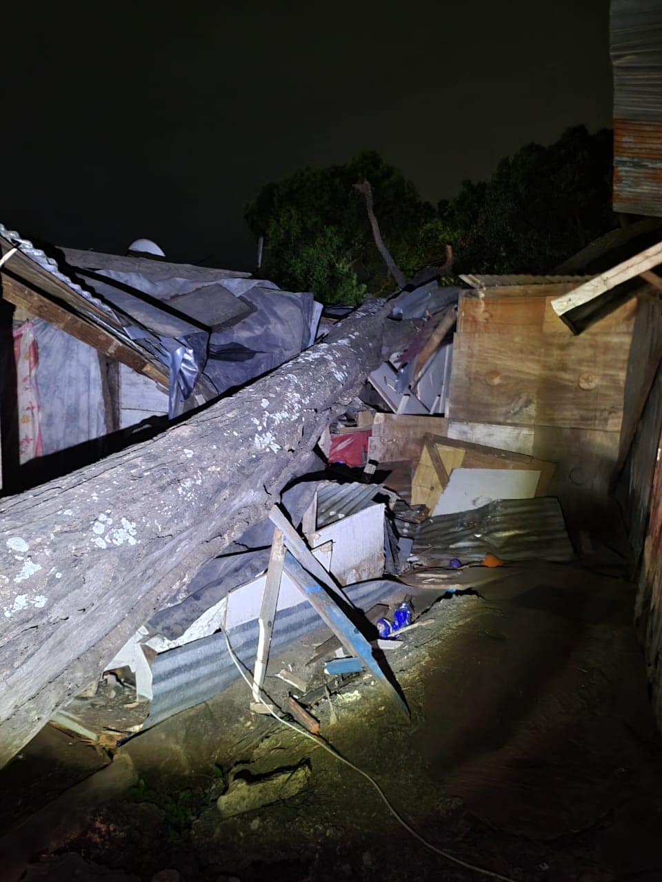 Four homes extensively damaged after a tree collapsed in Canelands