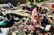 Human head and body parts found in a bag in Amouti