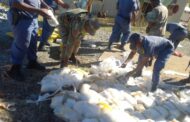 Joint operational actions against illicit mining continues in Free State