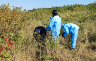 Police investigating an Inquest after two sets of human remains were found near a farm in Hertzogville