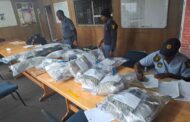255 Suspects arrested during weekend high-density operations in Ekhuruleni