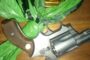 One civilian killed in an ATM Bombing at Sasol Garage in Honeydew