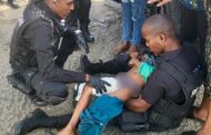 Child attacked by Saint Bernard dog in Drift