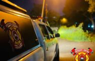 ECSA crews responded to reports of a fallen tree blocking the entire street in Rooderkraans