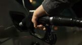 Another fuel price decrease brings welcome relief for consumers and businesses