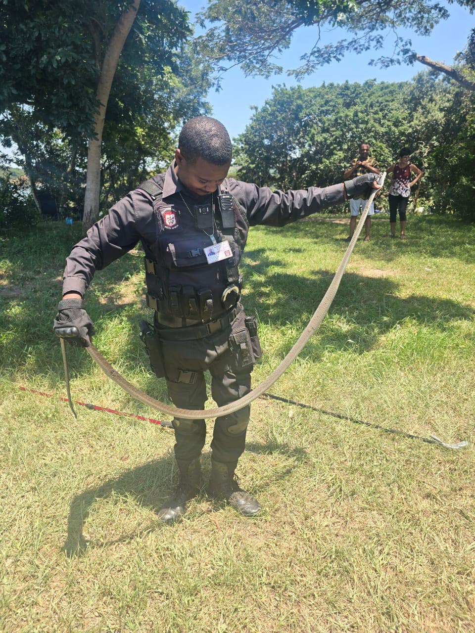 2.1 Meter black mamba captured at Hazelmere Dam