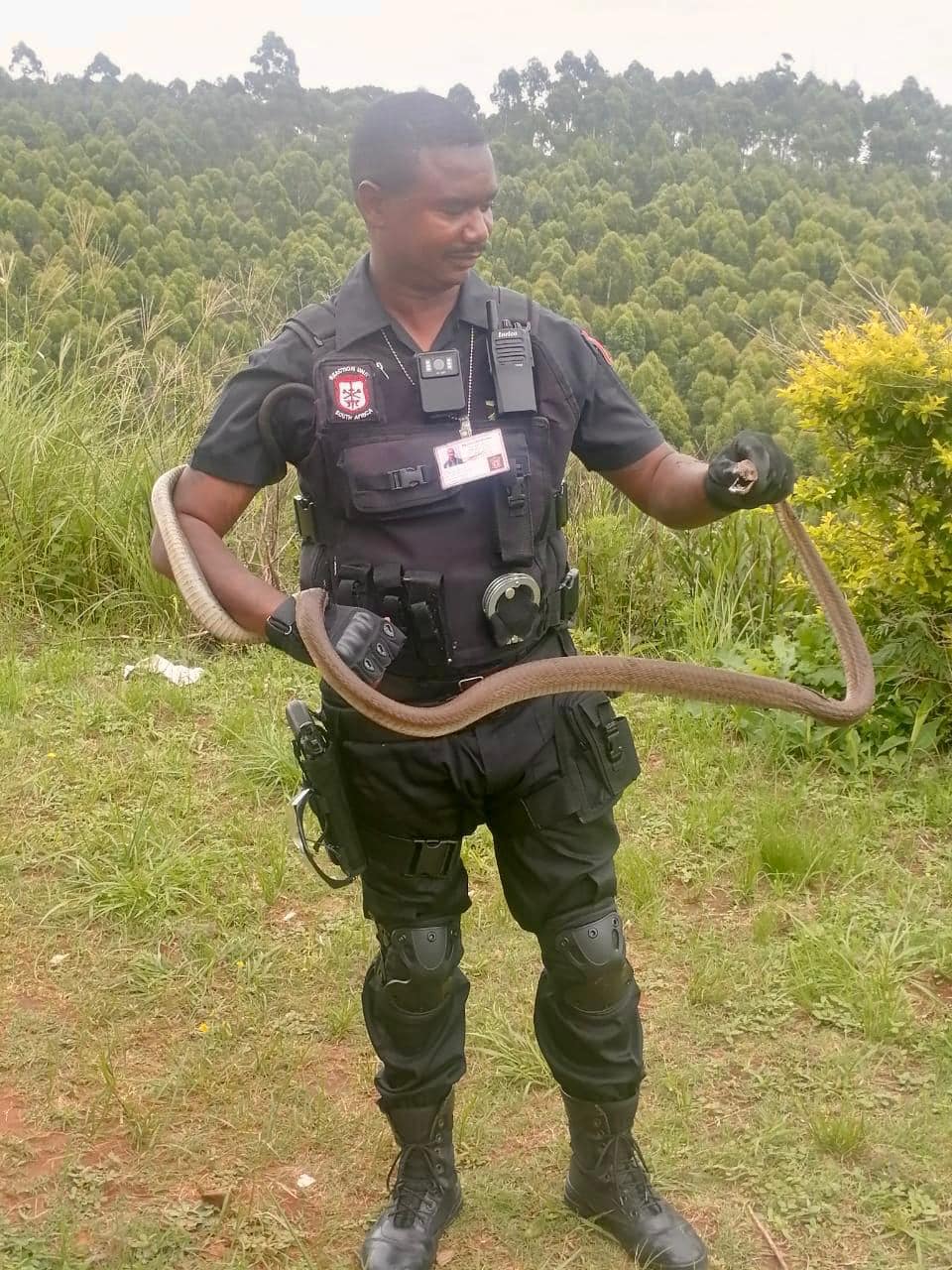 Two meter black mamba captured in Osindisweni