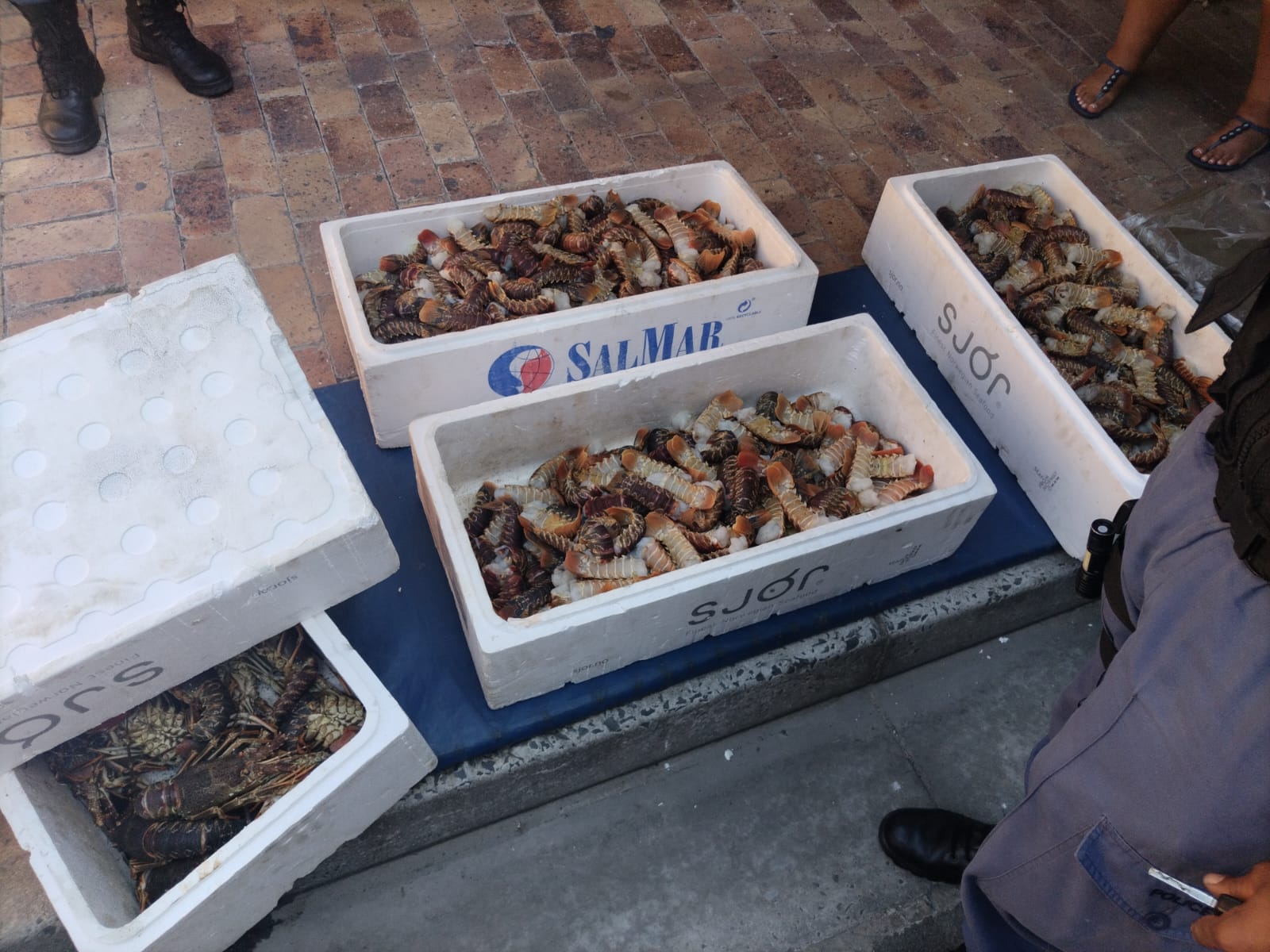 Khayelitsha Tactical Response Team confiscate rock lobsters in Macassar