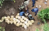 Five undocumented foreign nationals busted for alleged illegal mining of presumed gold-bearing minerals in Giyani