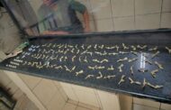Drug dealing suspect arrested and illegal substances such as Crystal Meth, Nyaope and Mandrax pills seized