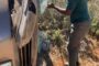 Four arrested for illicit mining in Namakwa