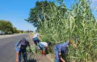Wrenchville SAPS clears overgrown bush on the N14 road