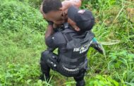Suspect arrested and released in Brindhaven