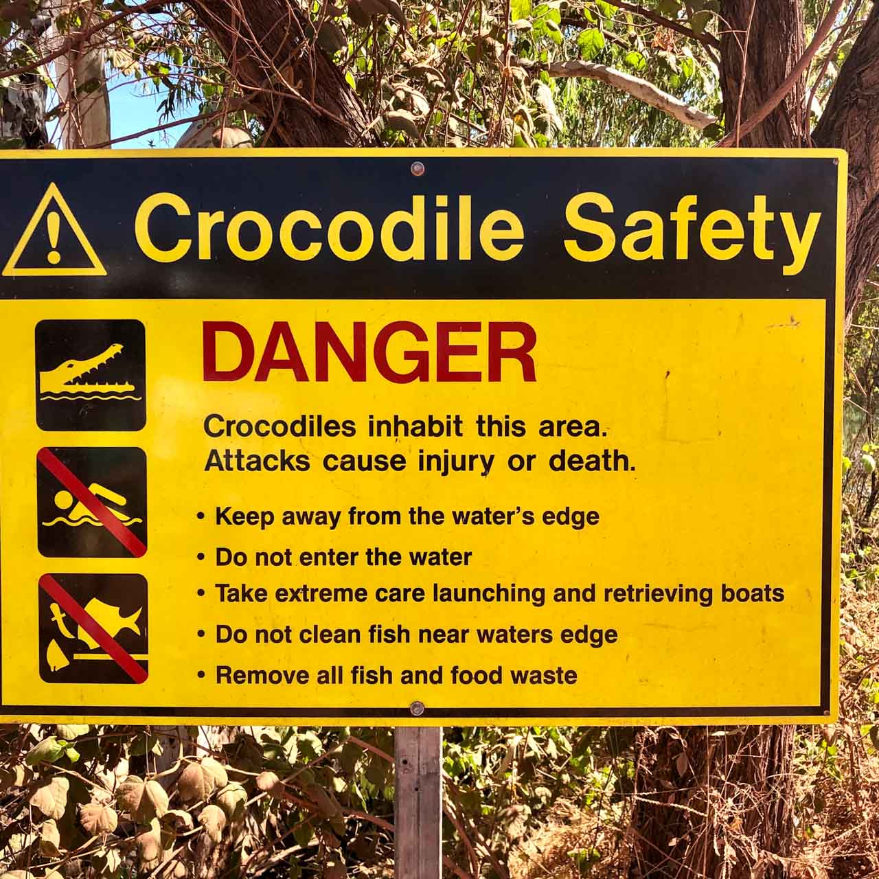 Fisherman dies and residents sternly warned to avoid rivers infested with crocodiles in Limpopo