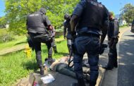 Joint crime prevention operation in Phoenix