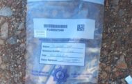 Twelve suspects arrested during Operation Vala Umgodi
