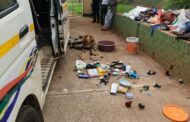 Operation Vala Umgodi netted 14 foreign nationals with ammunition and mining equipment