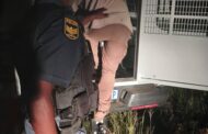 Operation Vala Umgodi arrests 11 suspects and disrupts illicit mining activities in the Northern Cape