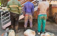 Four suspects nabbed during Operation Vala Umgodi