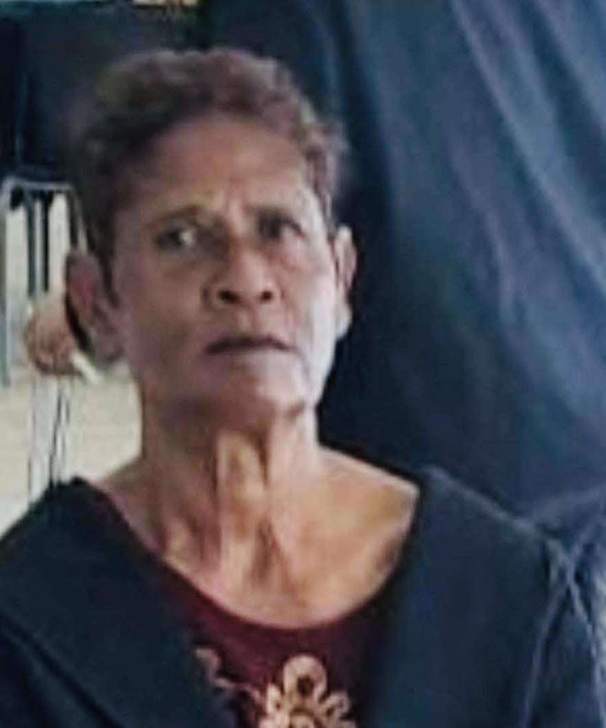 Pensioner Missing After Disembarking From Bus: Durban - KZN