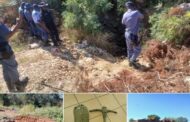 Twenty-one (21) suspects nabbed during Easter weekend by operation Vala Umgodi team, set to appear before courts