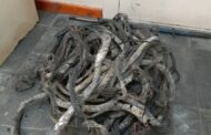 Laingsburg SAPS arrest two suspects for damage to essential infrastructure