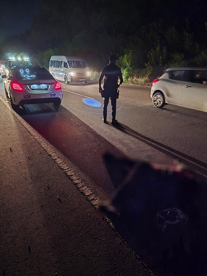 Breadwinner Killed While Fleeing Robbery Attempt