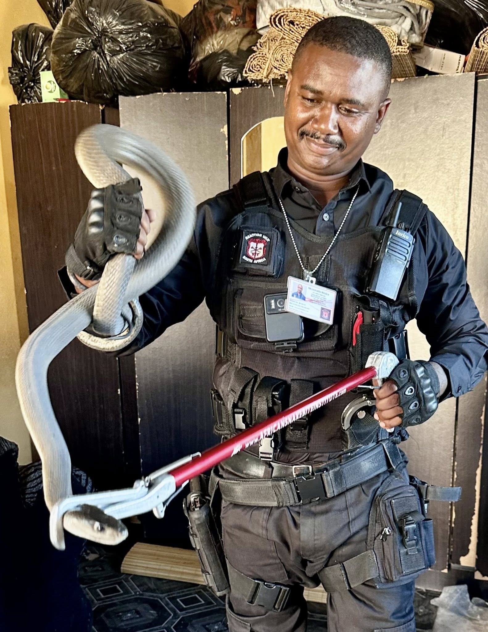 2.2 Meter Black Mamba Captured: Osindisweni - KZN