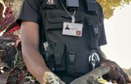 Monitor Lizard Captured: Ottawa - KZN