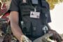 Monitor Lizard Captured: Ottawa - KZN