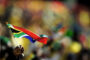 TRAFFIC ALERT: Road Closures Near Moses Mabhida Stadium - 10 May 2025