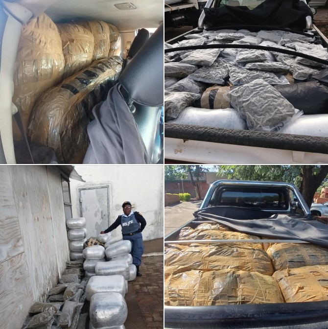 Acting Provincial Commissioner appreciates police and other law enforcers after dagga worth millions of rands was recovered