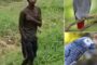 Drug Users Steal Parrots: Phoenix - KZN