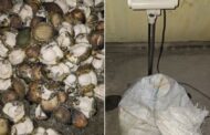 Three suspects arrested for illegal possession of abalone in Gonubie