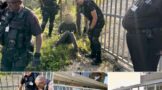 Burglary Suspect Arrested: Verulam CBD - KZN