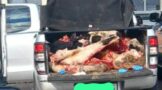 Stock theft suspects intercepted on the R30 road