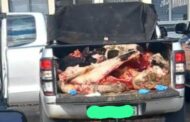 Stock theft suspects intercepted on the R30 road