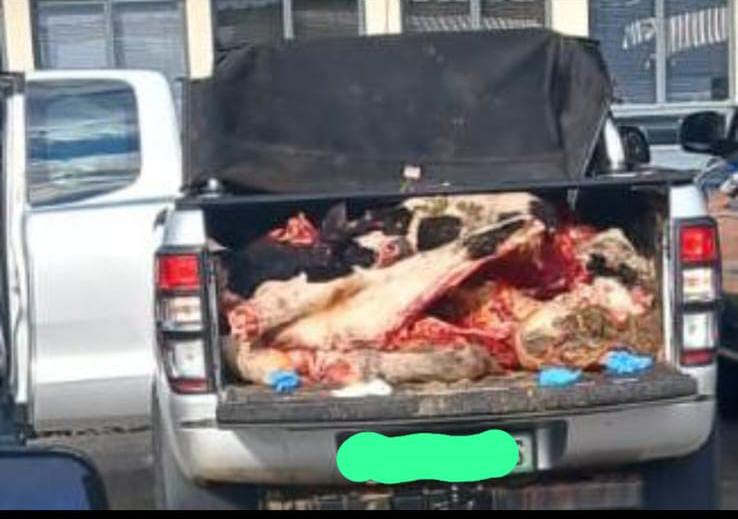 Stock theft suspects intercepted on the R30 road