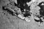 Son Arrested For Murder Of Granny & Brutal Attack On Mother: Phoenix - KZN
