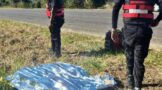 Man Killed For Backpack: Inanda - KZN