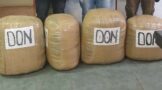 Three suspects remanded in custody for dealing in dagga