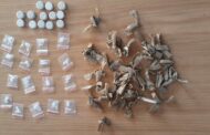 Operation Shanela yields positive results in Amersfoort and Vosman